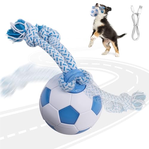 Pet Prime Intelligentes Hundespielzeug Fussball – Mit LED-Leine, 3 Spielmodi, USB-Aufladbar & Automatischem Energiesparmodus