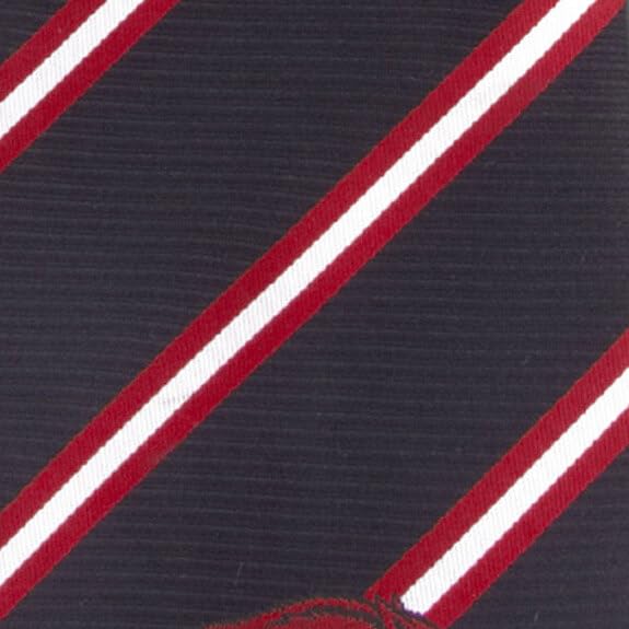 Eagles Wings Arkansas Necktie Razorbacks Stripe Tie for Men Sports Neckties College Neckties