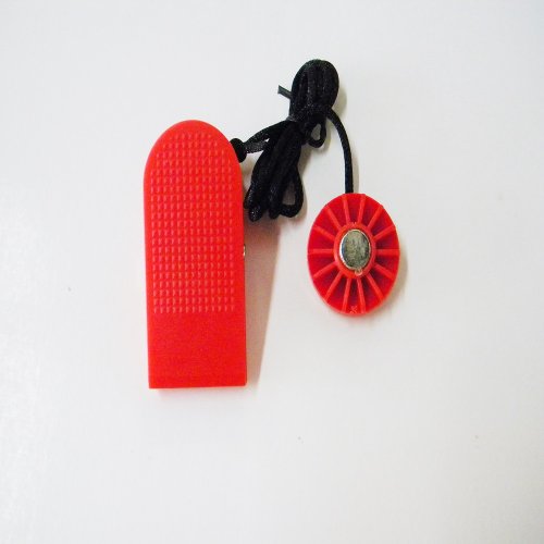 BowFlex Treadclimber Key TC 10