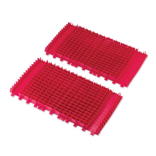 Dolphin Genuine Replacement Part — Front and Rear Magenta Brushes (2PK) — 6101640-R2