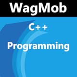 Learn C++ Programming by GoLearningBus