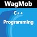 Learn C++ Programming by GoLearningBus