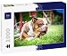 Lais Puzzle Bulldog Inglese Antico 1000 Pezzi
