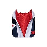 DiBanGu Red Ascot Ties for Men Paisley Cravat for Men 100% Silk Woven Mens Cravat Tie and Pocket Square Set