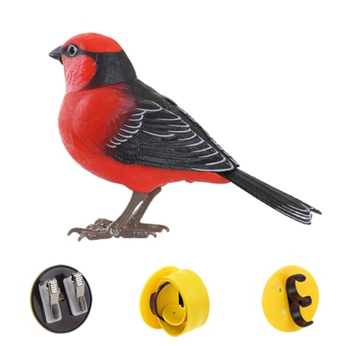 Bmdjdq Oiseau télécommandée, Son réaliste, 13,5x9cm, Animal de Compagnie électronique Mignon, Oiseau de gazouilli