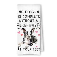 Boston Terrier at Your Feet