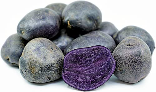 Black/Purple Potato 950 gm. Sugar Free Potato Organic Sugar Free Potatoes for Diabetics/Diabetic You can Make Sugar Free Chips from This Potato : Amazon.in: ग्रॉसरी और गॉर्मेट फ़ूड्स