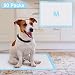 RCruning-EU Empapadores Perros Toallitas de Entrenamiento para Mascotas 60 cm x 45...