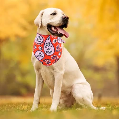 Pai Sence 240112-1 30 Pcs Paisley Bandanas For Dog Cats Polyester Print One Side Bandana Bulk thumb #5