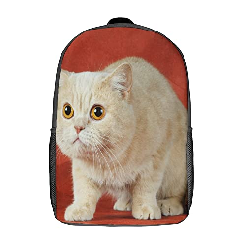 Sac à dos chat 17 pouces pour l'école et les sorties des jeunes