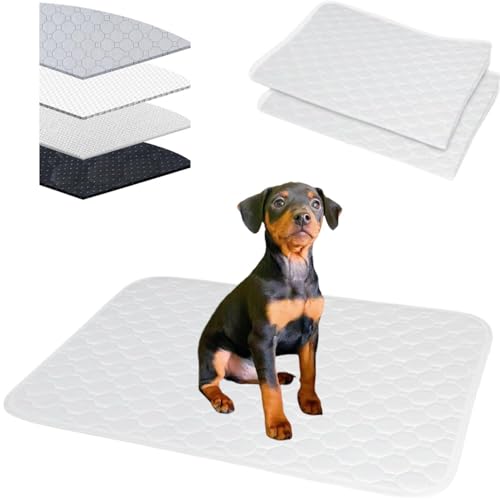 Lifetips ~j`AsV[iMiniature Pinscherj 􂦂ybgV[c ybgV[c 􂦂 2Zbg ~ V[cCh V[g L ۂƐ􂦂 ~}bg ld\ Rh~  ~ ^ ^