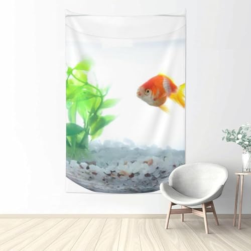 Aj wizj ^yXg[ t@ubNǏ v[g pi z[  |X^[