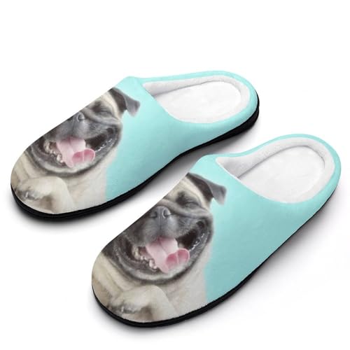 [STEBVI] Xbp  Ί pO  Aj} [V[Y  nEXXbp  Y fB[X  ~ g 􂦂 qp p jp v[g