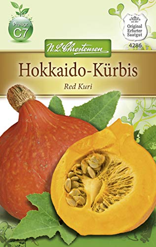 N.L. Chrestensen 4286 Hokkaidokürbis Red Kuri (Kürbissamen)