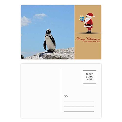 Cartes postales Pingouin Antarctique lot de 20 pour vos vœux nets