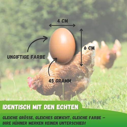 Jarden® 5er-Set Holzeier für Hühner – Realistische Gipseier für Hühner als Nesthilfe – Perfekt für Hühnerställe & Legenester