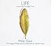 Glass: LIFE - A Journey Through Time