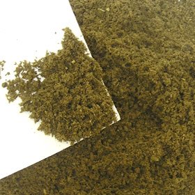 Amazon | フォーテック 産卵一番 10リットル (x 1) | フォーテック