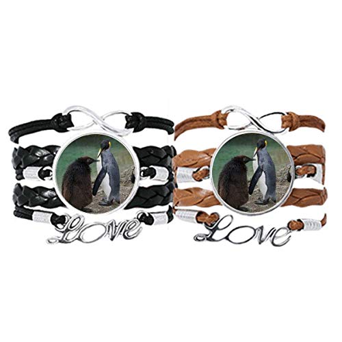 Pulsera de cuero de pingüino de la Antártida para parejas amantes de la ciencia natural