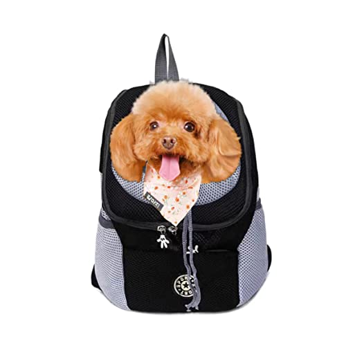 Top 10 MustHave Products for Your Furry Friend A VetApproved Buying