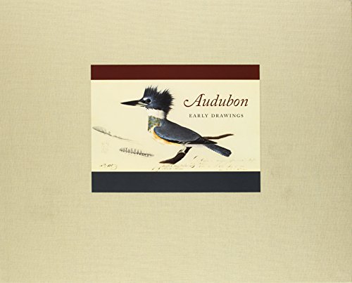 Audubon: Early Drawings