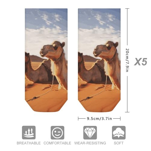 Camels Rest Desert Socks Low Cut Ankle Sock Short Socks Casual Socks Running Hiking Socks 5 Pairs Unisex2