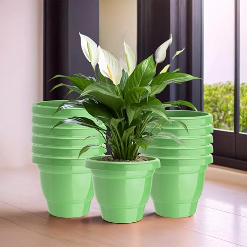Image of Kuber Industries (Pack of 12) Flower Pot | Pots for Terrace, Garden (6 Inch) 2-Layer Fuldani Flower Pot | Pots Stand for Plants | Phooldaan for Home D?cor | Synergy Indoor Plant Stand | Green