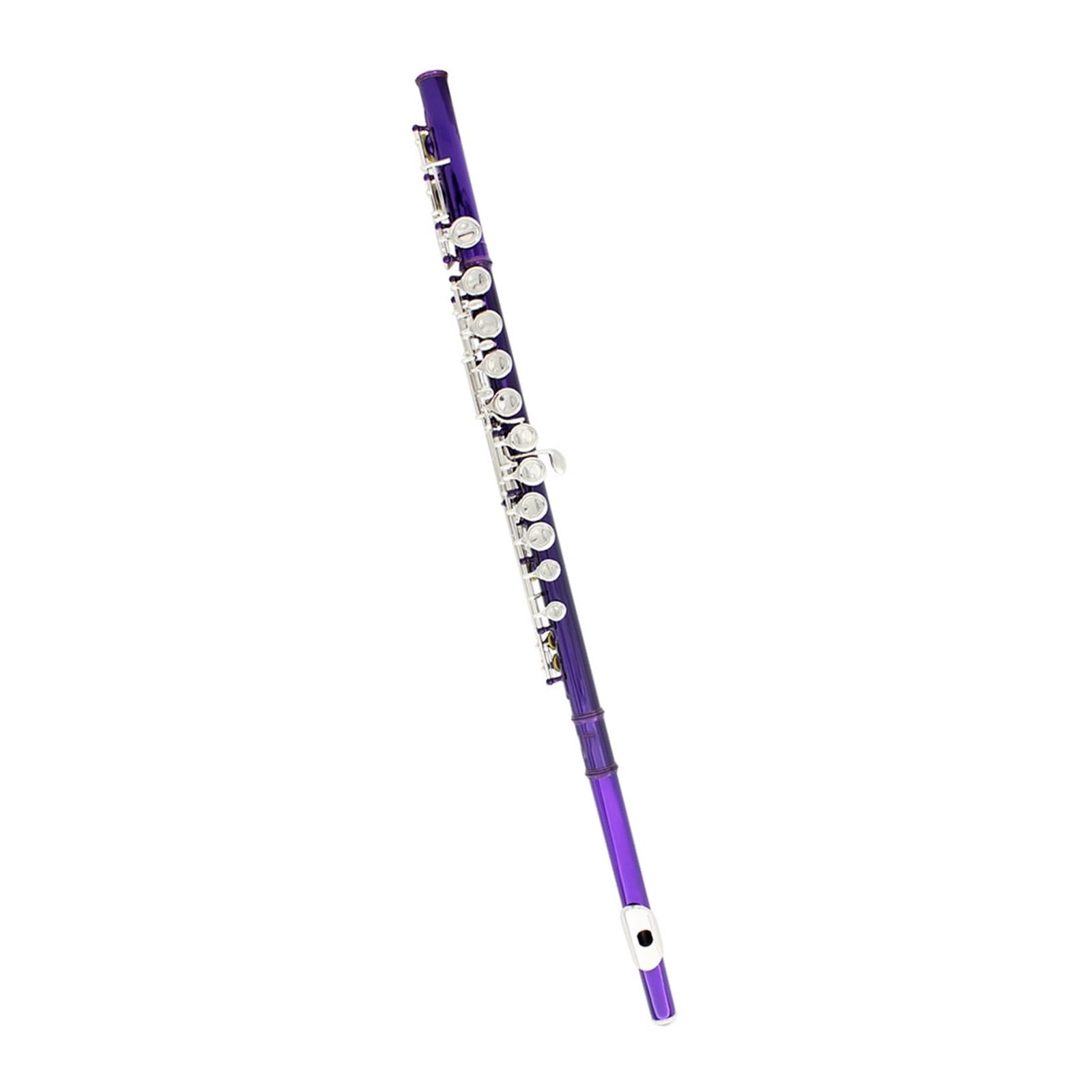 Flauto Flauto viola 16 fori C Tune Flauto con scatola in pelle Borsa per flauto Accessori per strumenti musicali Kit di pulizia