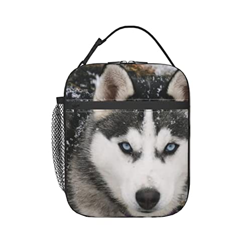 Funny Husky Dog Insulated Lunch Bag Tote Bag for Women Cooler Bag Leak-Proof Lunch Box for Men Girls Children Outdoor Picnic Work
