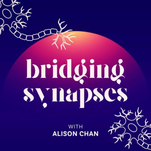『Bridging Synapses』のカバーアート