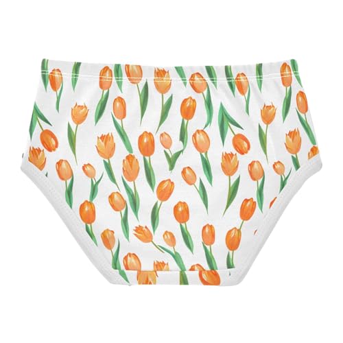 Flowers Floral Toddler Girls's Underwear 2T 23022202