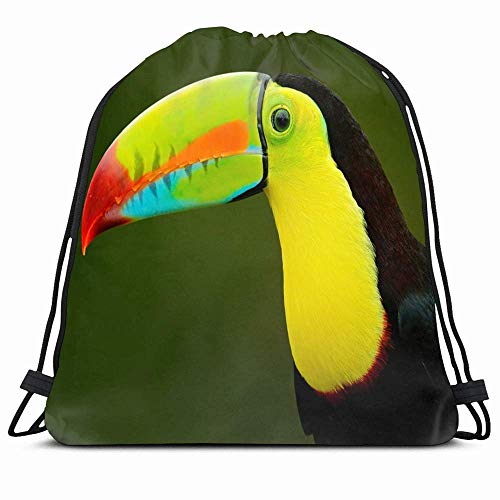Drawstring Backpack String Bag 14X16 Colorful Beak Black Detail Toucan Beautiful Bird Big Exterior Animals Wildlife Nature Blue Costa Rain Rica Sport Gym Sackpack Hiking Yoga Travel Beach