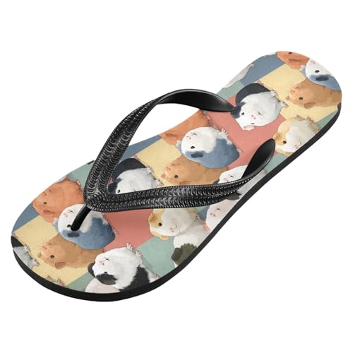 Flip Flop Sandals Guinea Pig Colored Print for Women Men Beach Outdoor XS2