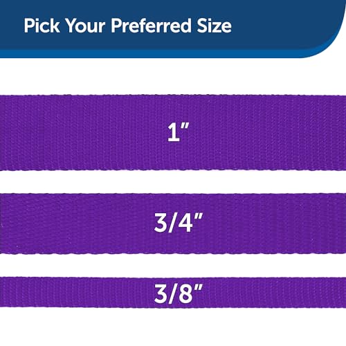 Image of PetSafe Nylon Dog Leash - Strong, Durable, Traditional Style Leash with Easy to Use Bolt Snap - 1 in. x 6 ft., Deep Purple | Durable Nylon Leash with Easy on /off Bolt Snap Hook, Pairs Perfectly with Easy Walk Harness and Gentle Leader Headcollar