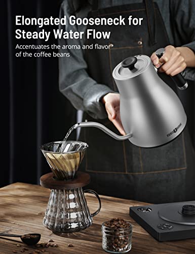 Image of Paris Rhone Gooseneck Electric Kettle, Temperature Variable Tea Kettle for Coffee Tea Brewing, 1L Stainless Steel Electric Kettle, 2H Keep Warm, Built-in Stopwatch,Silvery