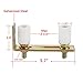 Skelang Slide Gate Guide Roller with L Post Bracket, Adjustable Dual Nylon Rollers Gate Assembly Support for Sliding Rolling Gates 2-5/16