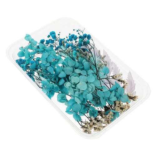 Material de flores secas para manualidades ORFOFE miniatura 1