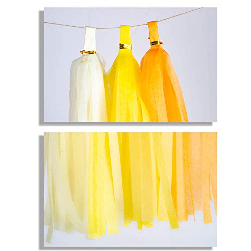Image of 30pcs Beige,Yellow and Orange Shiny Tassel Garland Banner Tissue Paper Tassels for Party Decorations