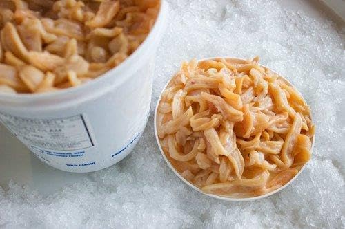 Fresh Sliced New England Surf Clam Strips, 2 Count of 8 lb Gallons - Ideal for Fried Clam Strips and Clam Chowder