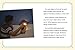 Raintree How Do We Use Light? (Science Enquiry).