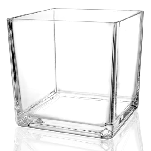 1 Pack Square Glass Vase 5" x 5" x 5", Clear Flower Vase for Cent...