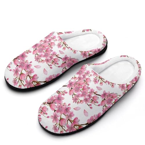 [ZKCASA] Xbp a a  ԕ [V[Y   qp h  g 􂦂 ~ jp I[V[Yp 11-12i42-43j