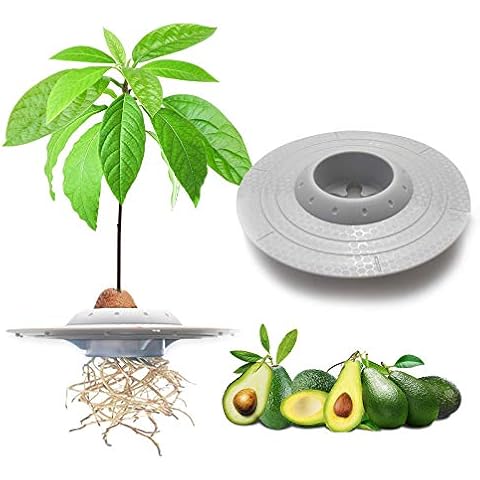 tEEZErshop Kinder Avocado pflanzset,Das Beste Garten Samen Starter Geschenke Fuer Kinder Mama Cover