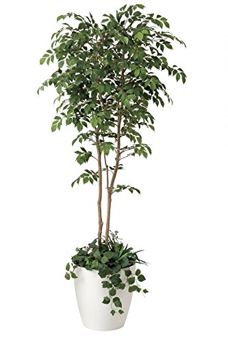 光触媒　人工観葉植物　ウォールグリーン　マウンテンアッシュ1.8 植栽付 Amazon｜光触媒 人工観葉植物 光の楽園 マウンッテンアッシュ1.8植栽付