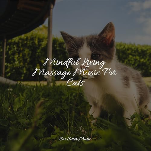 Stunning Cat Calming Music For Hyper Cats Reviews image