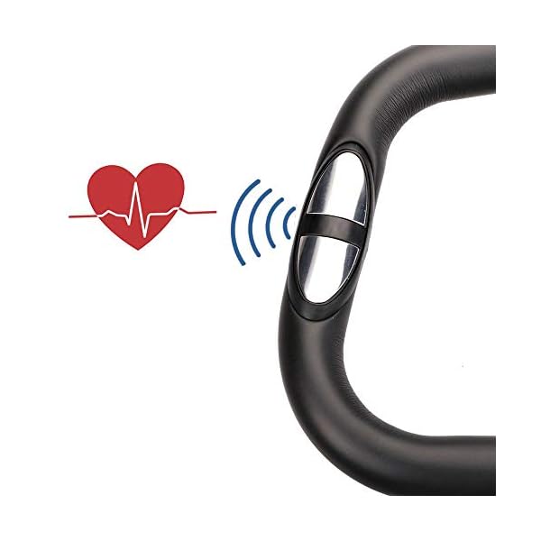 SunFitter Exercise Bike Upright Cycling Bike Home Use