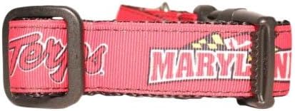 NCAA Maryland Terrapins Dog Collar (Team Color, Medium)