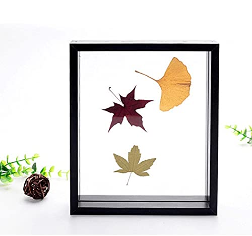 DIYtHgt[3Dʐ^t[AW{ʗL@KX6C`(9.1*13.3cm)