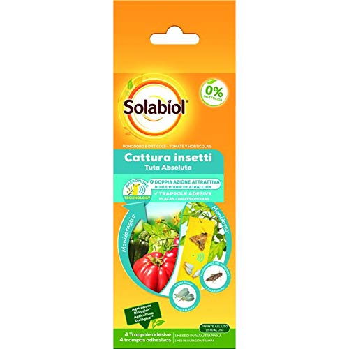 Solabiol Placas con feromonas Anti Tuta