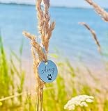 GOLDEN PAW Hundemarke mit Gravur personalisiert, Namensschild mit Telefonnummer, Adresse für Halsband - robuste Tiermarke aus Edelstahl, Dog Tag, Anhänger für Hunde, Katzen, Pferde & Welpen | Silber